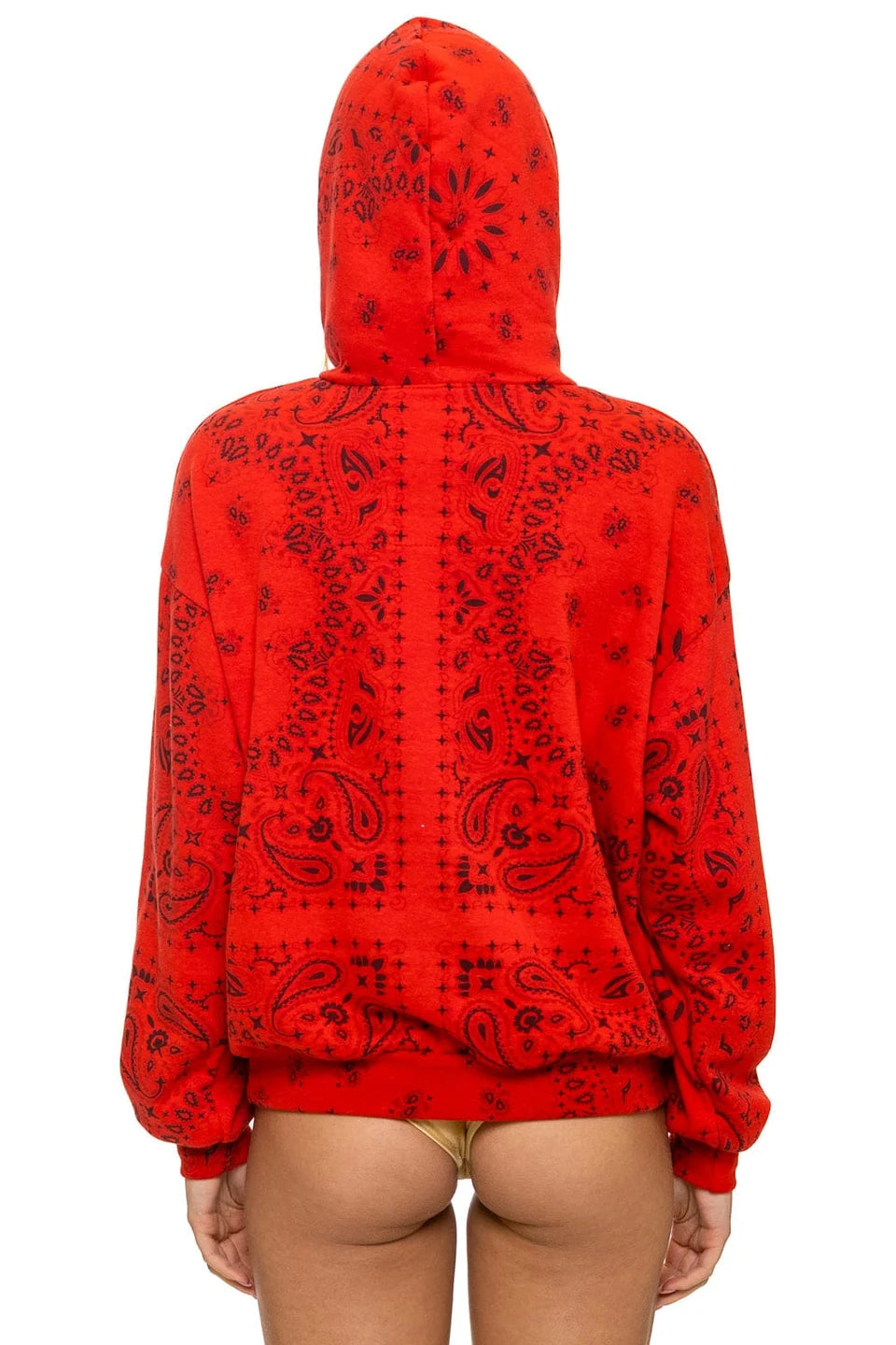Aviator Nation Bandana Relaxed Pullover Hoodie in Red at Baseline Social