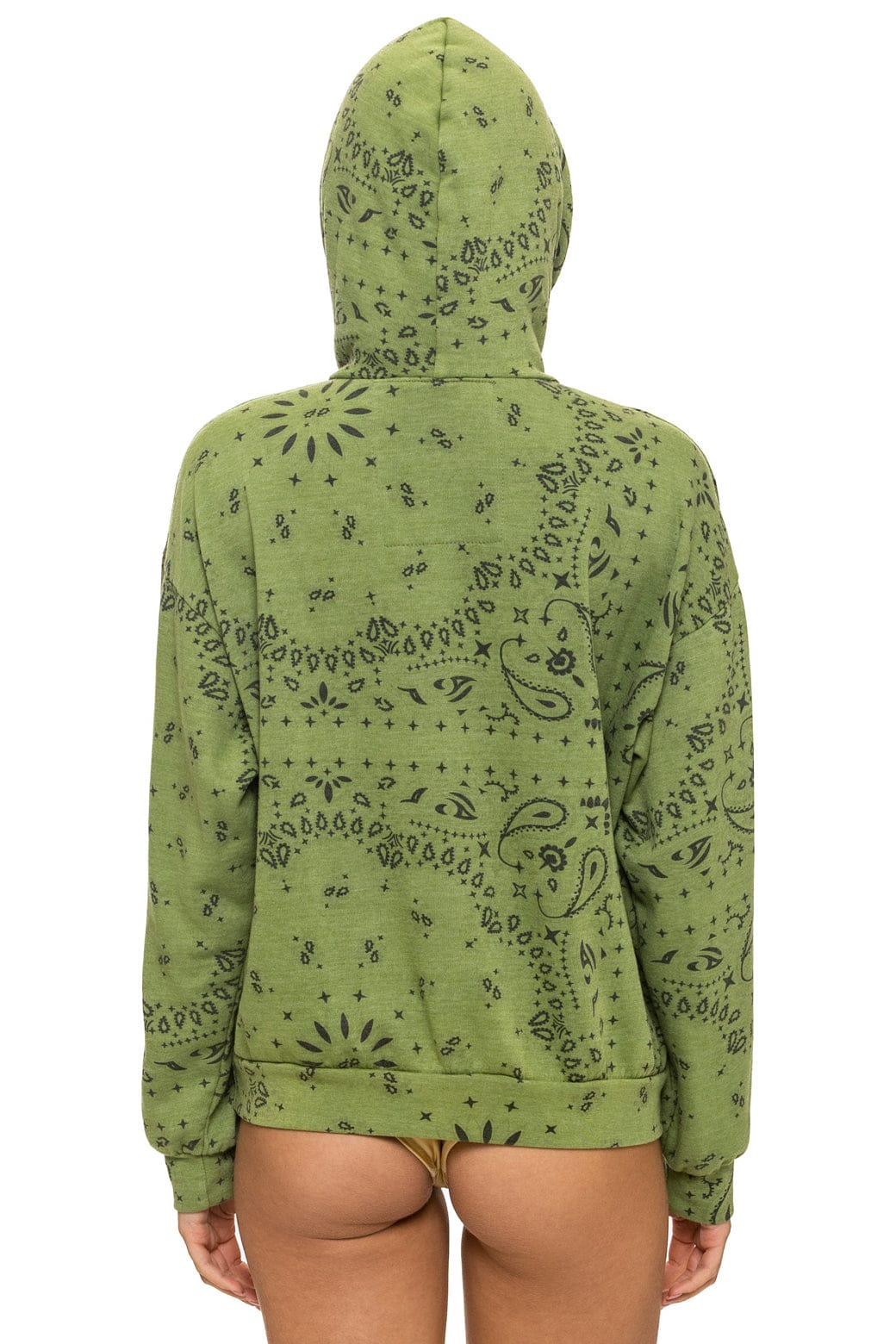 Aviator Nation Bandana Relaxed Pullover Hoodie in Jungle Green at Baseline Social