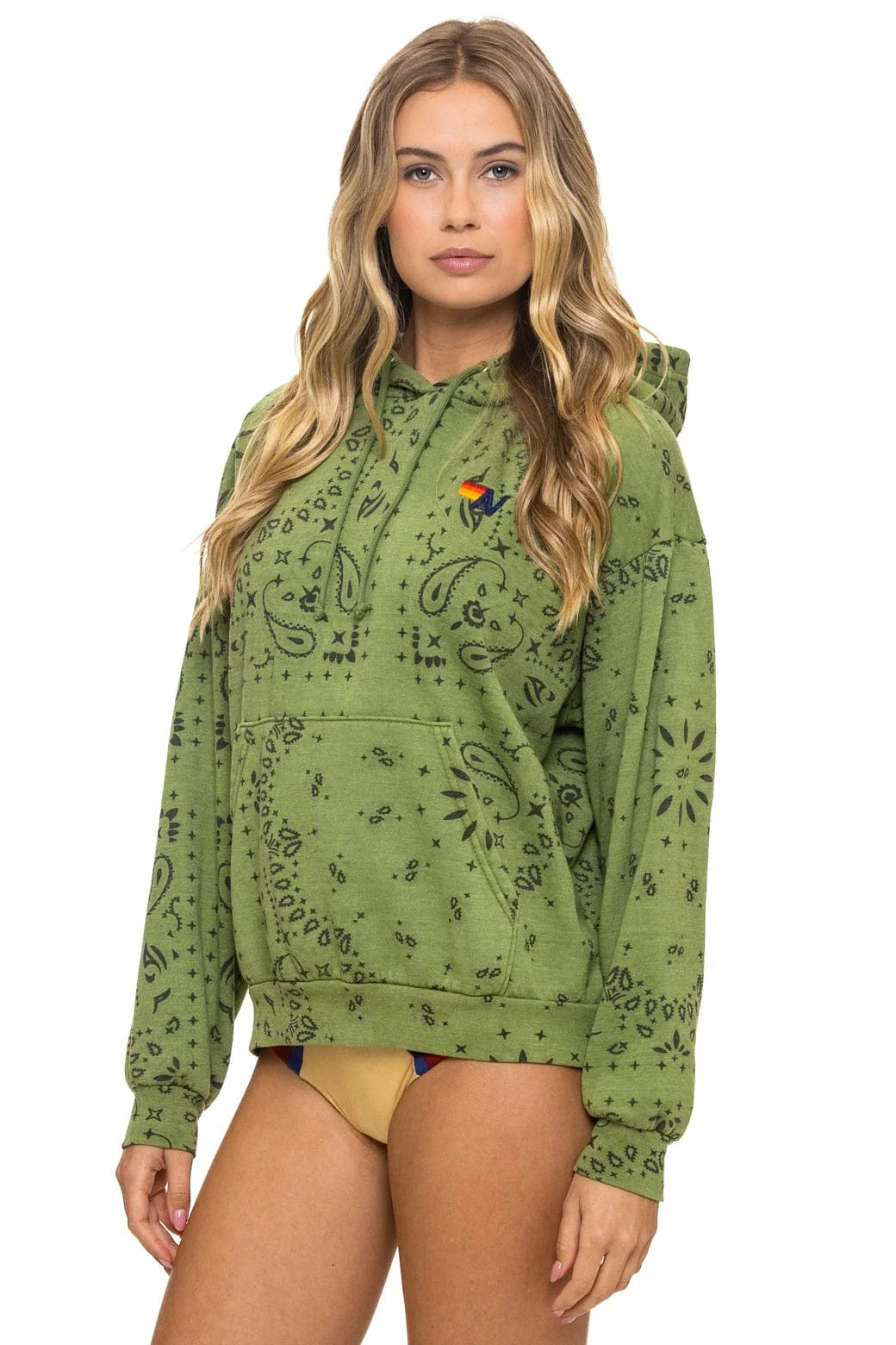 Aviator Nation Bandana Relaxed Pullover Hoodie in Jungle Green at Baseline Social