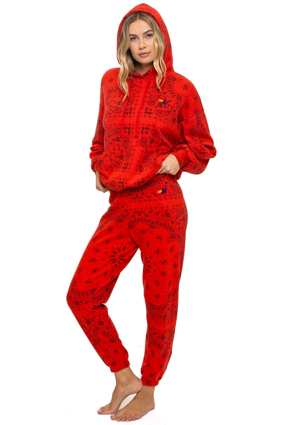 Aviator Nation Bandana Relaxed Pullover Hoodie in Red at Baseline Social