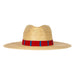 Red and Blue Palm Hat - Baseline Social